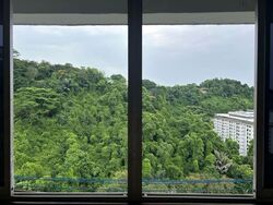 Blk 39 Telok Blangah Rise (Bukit Merah), HDB 5 Rooms #597086721
